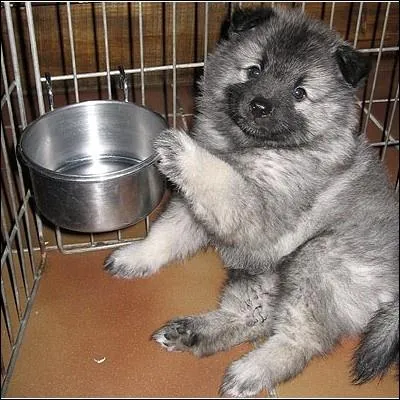 Un peu plus facile...