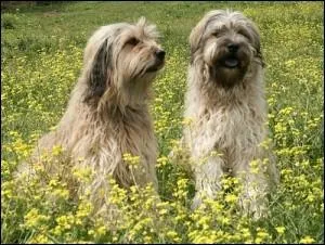 Et on revient au difficile...