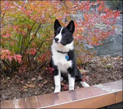 Il y a une petite diffrence  percevoir...