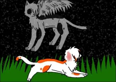 Qui tait avec Coeur Blanc le jour de son accident ?