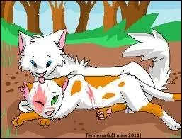 Quel a t le premier nom de guerrire de Coeur Blanc, donn par Etoile Bleue, aprs son accident ?