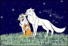 Pourquoi Flocon de Neige refuse d'appeler Coeur Blanc par ce nom ?