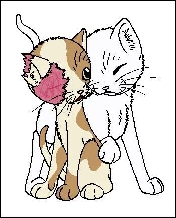 Avec qui Coeur Blanc dveloppe-t-elle des techniques de chasse et de combat ?