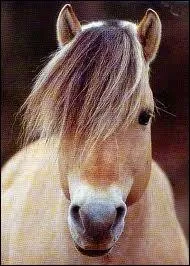 Quelle est sa taille ? Autour de. .