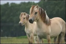 Il a des particularits, lesquelles ?