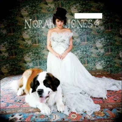Quel nom porte cet album de Norah Jones ?
