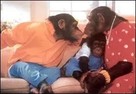 Pour quelle marque de lessive ces singes ont-ils fait de la publicit en 1992 ?