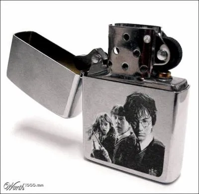 Ce sortilge fait apparatre des flammes vivantes, qui cherchent  capturer tout ce qui passe  leur porte, il peut dtruire les horcruxes !