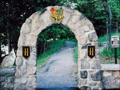 Comment s'appelle la chouette de Harry ?