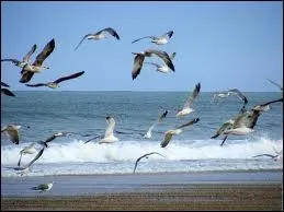 Avec des (... ) joyeux, volaient en (... ) ;