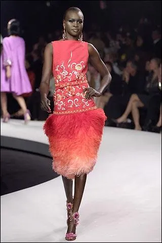 Elle dfile pour Christian Lacroix, John Galliano, Calvin Klein, Ermanno Scervino et bien d'autres. Quel est son nom ?