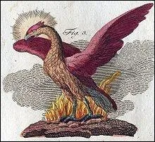 Comment s'appelle cet oiseau lgendaire, symbole de la rsurrection, voir de l'immortalit ?