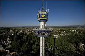 Comment s'appelle ce mange ?