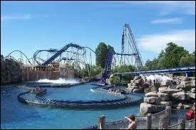 Comment s'appelle ce mange ?