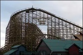 Comment s'appelle ce mange ?