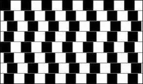 Les carrs de l'illusion d'optique prsente sont ?