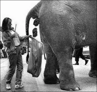 Pauvre femme ! Quel est son mtier ?