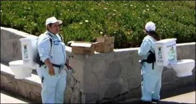 Comment s'appellent ces femmes ?