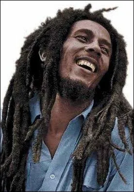 Bob et ses fameux ...