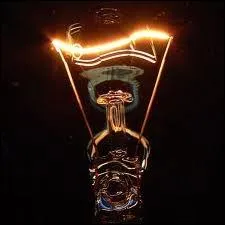 Il est le premier  perfectionner l'ampoule lectrique  incandescence. Vrai ou faux ?