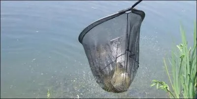 Un accessoire du pcheur, surtout pour ceux qui pratiquent le No Kill ... .