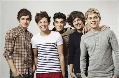 Quelle marque de tlphone les One direction ont-ils lance en dition limite ?