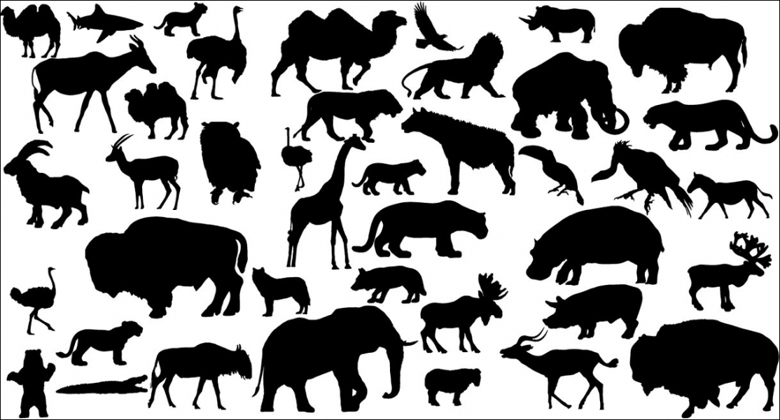 free clip art animal shapes - photo #24