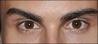 A qui sont ces yeux marrons ?