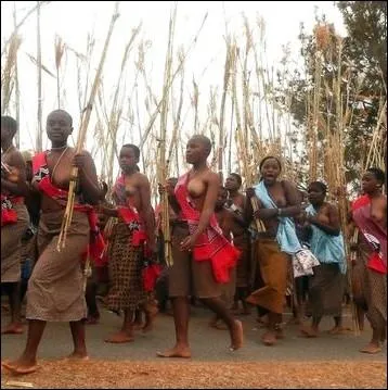 Dans quel pays africain, se droule la traditionnelle danse des roseaux, o de jeunes filles clibataires au seins nus s'exhibent devant le Roi afin de choisir son pouse ?