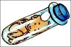 Les premiers CECOS furent créés, en France, en 1953. Mais, que veut dire cet acronyme ?