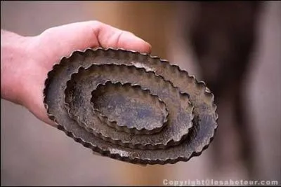 Comment s'appelle cet objet ?