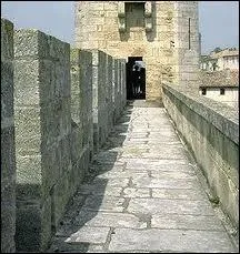 Quand les militaires font la  ronde , ils ne jouent pas en rond