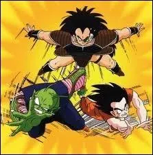 Sangoku s'est battu contre son frre Raditz avec l'aide de Piccolo. Quelle tait l'issue du combat ?