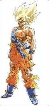 Lors de quel combat Sangoku se transforme-t-il en super sayen pour la premire fois ?