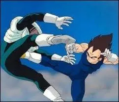 Contre qui se bat Vegeta sur cette image ?