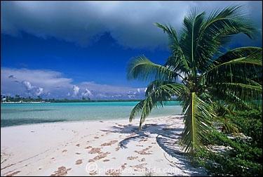 Quelles îles ne se situent pas dans l'océan Pacifique ?