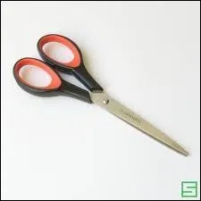 Si l'on s'exprime dans un franais correct, le bon terme a employer reste :