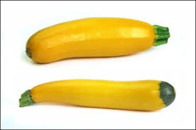 Ces courgettes sont-elles réelles ou résultent-elles d'un photo-montage entre peau de banane et cicatrice d'insertion des pièces florales !?