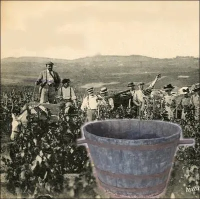 Cuve conique munie de deux poignes pour le transport, quel nom porte ce rcipient servant  vendanger ?