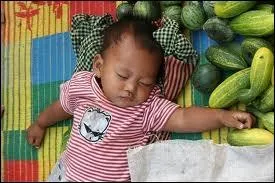 Au  Pays du sourire  que donne un repos serein.