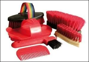 Vous vous occupez de votre monture, lors d'un pansage complet, que faites-vous ? (il n'y a pas toutes les tapes, c'est normal)