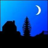 Qu'est-ce qu'une pipistrelle ?