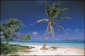 Dans le Pacifique se trouve l'île de Niue qui a pour capitale...