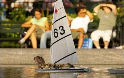 Quel clbre navigateur fut tu par des pirates, dans l'estuaire de l'Amazone ?