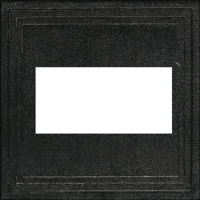 Quel nom porte cet album de Pearl Jam ?