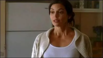 Qui fait exploser la maison de Susan Mayer dans l'pisode 20 de la premire saison ?