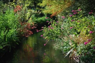 J'ai un ruisseau qui coule (... ) doucement son eau vive et (... ) arrose mon jardin.