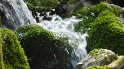 L'onde (... ) se brise sur les (... ) de (... )