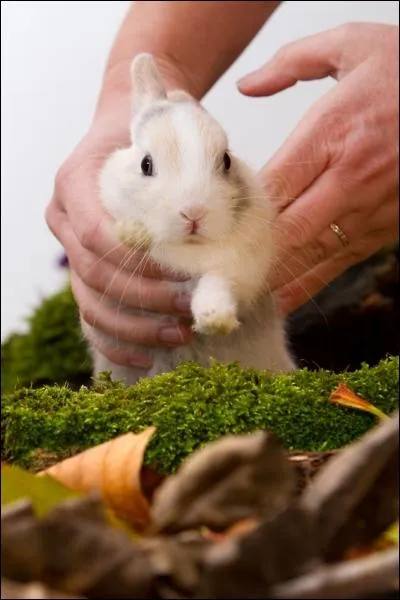 J'en ai marre de ce type, d'ailleurs o est-il ?