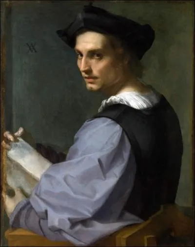 Portrait d'un jeune homme, 1517